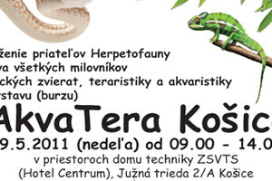 introaqua
