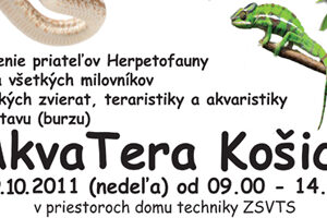 introakva