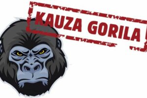 kauza_gorila_pr