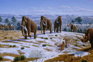 mammoth