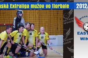 introflorball
