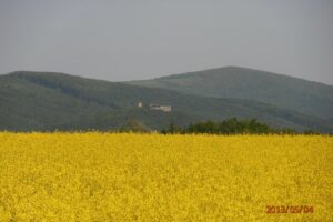 P5040315