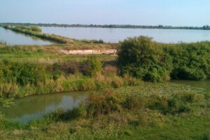 senne