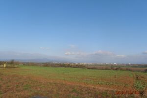PA184488