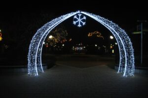 DSC 2579