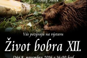 zivotbobra