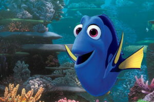 dory